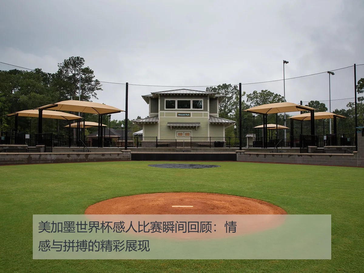 美加墨世界杯感人比赛瞬间回顾:情感与拼搏的精彩展现
